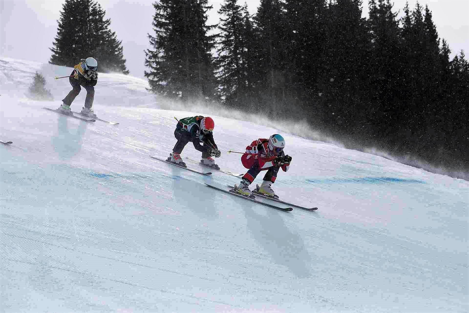 50684008_2095113150548613_7969751557954600960_o